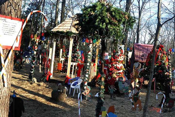 What To Do In Norwalk This Holiday Season