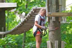 Bridgeport's Adventure Park Pledges $1 For Every Climber To Arbor Day Group