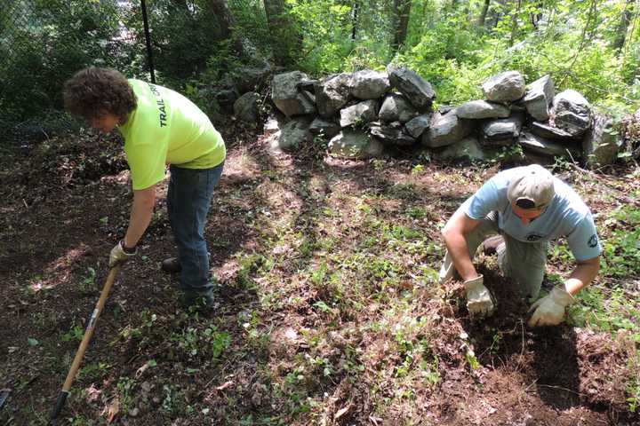 Westchester Land Trust Enhances Preserves In Lewisboro