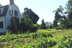 Bedford's Sugar Hill Farm Looking For Volunteers 