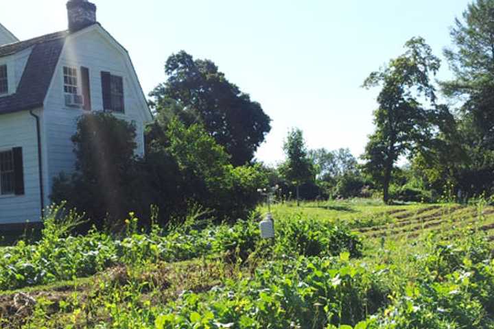 Bedford's Sugar Hill Farm Looking For Volunteers 
