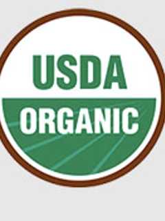 NWH Dietician Sheds Light On Sustainable Food Choices