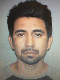 Police: Norwalk Man Cuts Up Girlfriend's Shoes, Smears Avocado On TV