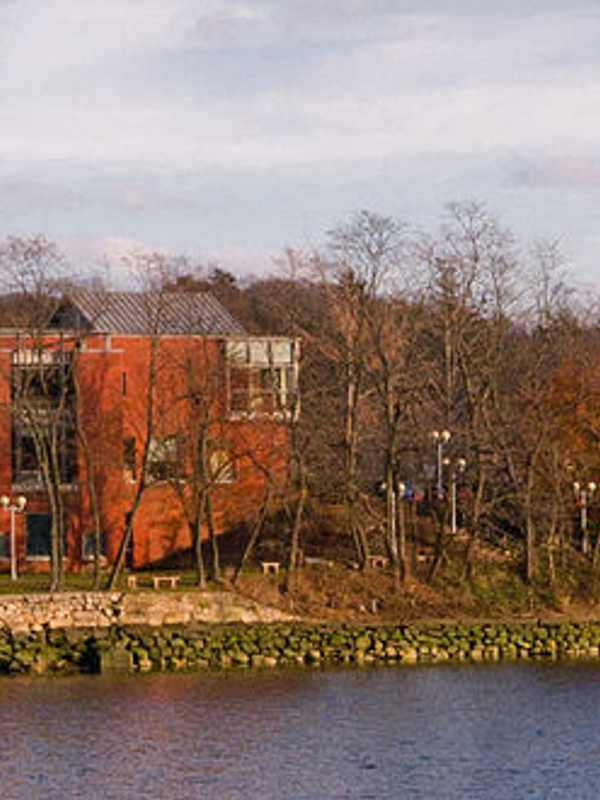 Westport Library Spotlighting Special Events For Children 