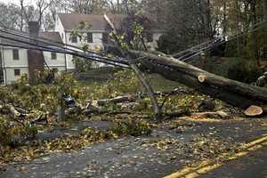Sandy Likely To Cost Darien More Than Irene