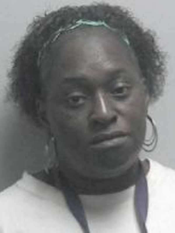 Putnam County Sheriff Seeks Woman Wanted On Petit Larceny Charges