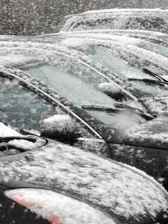 Despite Warm Start, Scarsdale Officials Urge Winter Preparedness