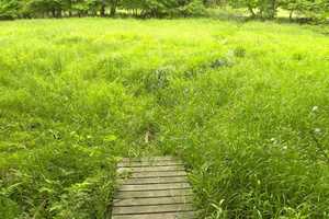 Pound Ridge's Clark Preserve Holding  Volunteer Session