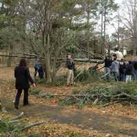 <p>Tuckahoe students and parent volunteers literally moved trees in the park.</p>