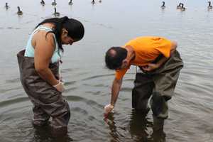 Ossining High Students Test Hudson Water For Bacteria