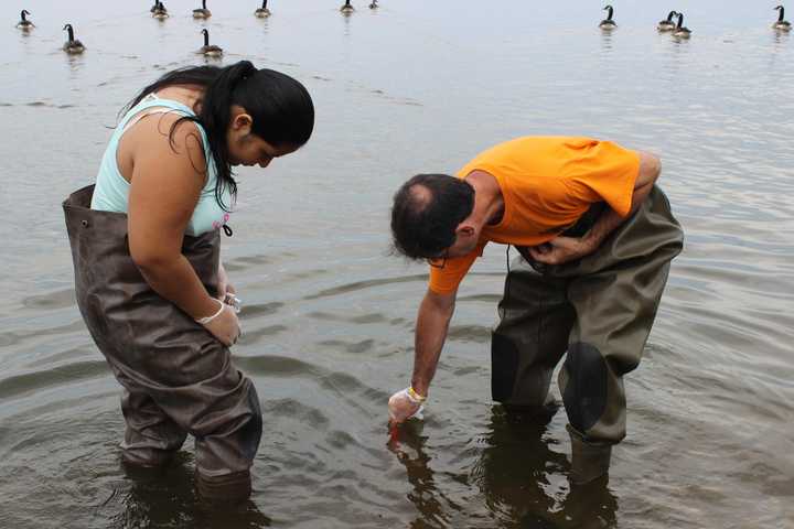 Ossining High Students Test Hudson Water For Bacteria