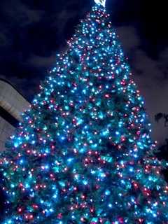 Come To Mount Kisco's Annual Tree Lighting Ceremony, Visit With Santa