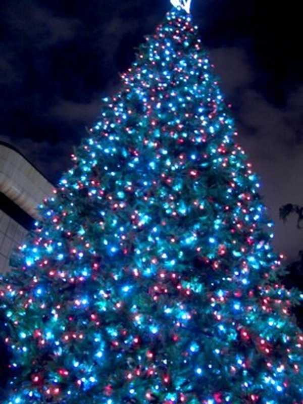 Come To Mount Kisco's Annual Tree Lighting Ceremony, Visit With Santa
