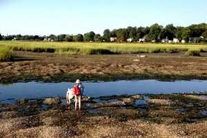 Aspetuck Land Trust Sponsors Ash Creek Hike In Bridgeport