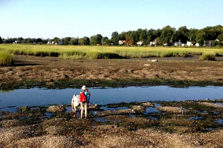 Aspetuck Land Trust Sponsors Ash Creek Hike In Bridgeport
