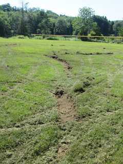 Redding Man Charged In Vandalism At Ridgefield Ball Field
