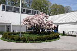 North Salem Library Holding 'Nighttime Arts' Series