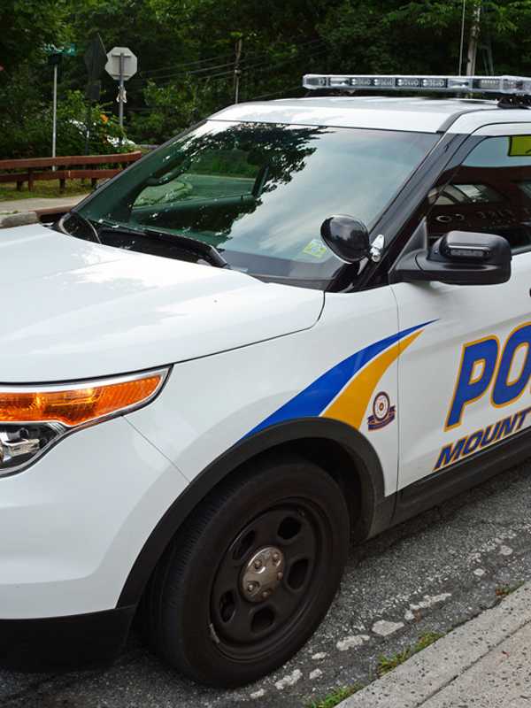 Two Police Officers Struck By Car In Mount Pleasant
