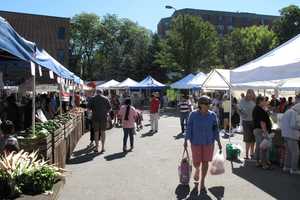 Ossining Farmers Market Is DVLicious Finalist 