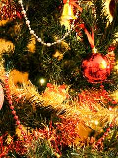 Black Rock Plans Tree-Lighting Event Sunday