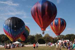 Greenwich Land Trust To 'Go Wild' At Annual Field Day