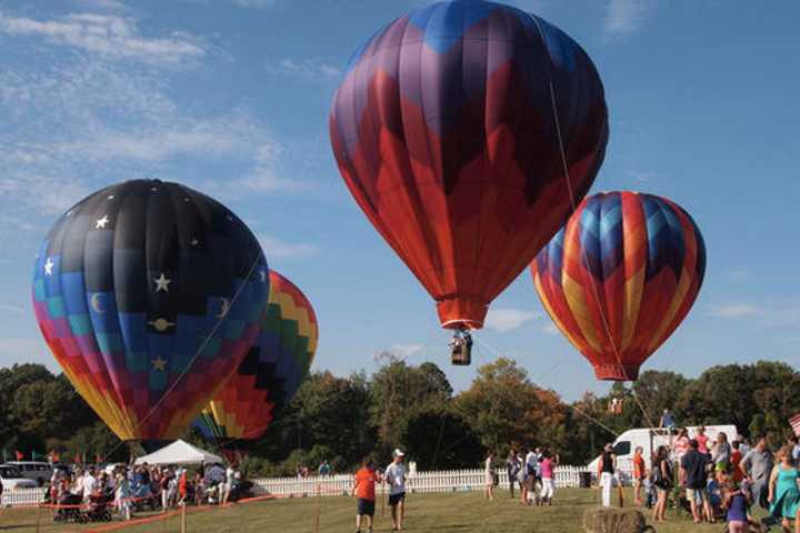Greenwich Land Trust To 'Go Wild' At Annual Field Day