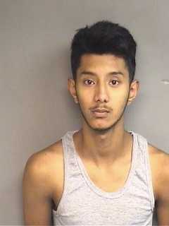 Charges Dropped In Swimming Pool Brawl In Stamford