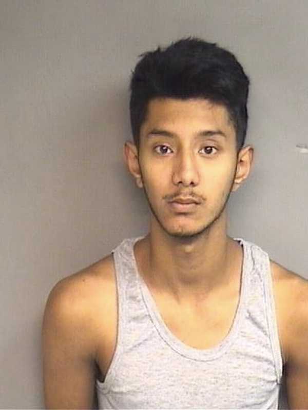 Charges Dropped In Swimming Pool Brawl In Stamford