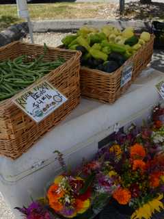 Hudson Valley Regional Farmers Market Hosting Storytime In Putnam