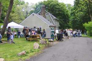 Kids Can Sign Up For Weinberg Nature Center Camp