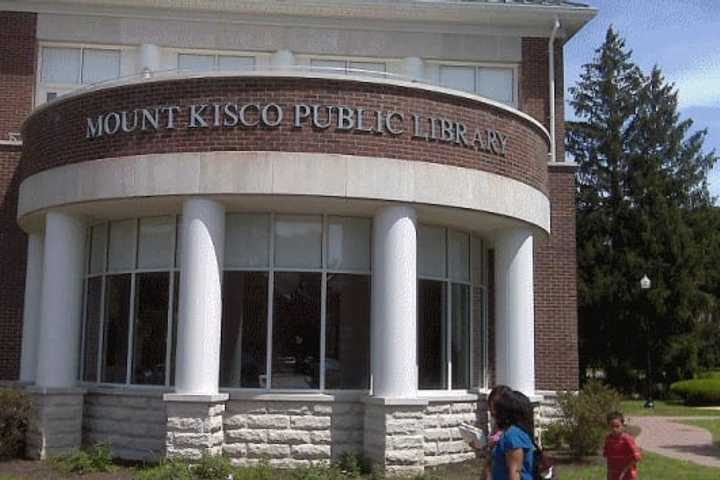 Mount Kisco Library Holding 'Gravity Painting'