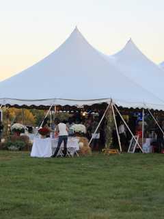 Tickets On Sale For Opus Fundraising Festival In Darien
