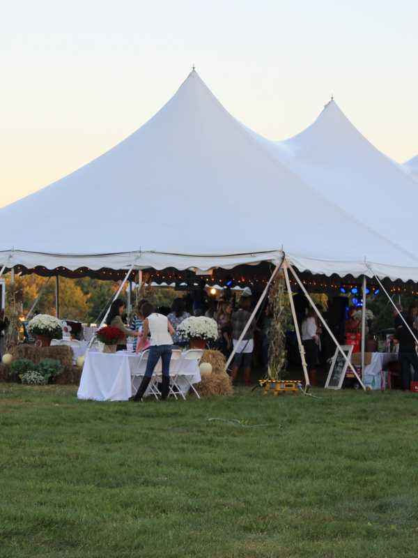Tickets On Sale For Opus Fundraising Festival In Darien