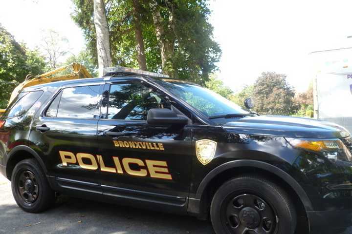 Bronxville police arrested Allison Kemp, 21, of Effort, Pa. for allegedly of using a stolen driver&#x27;s license in an attempt to cash a fake withdrawal slip.