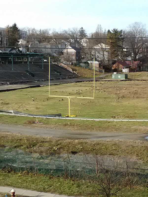 Legislator Urges Mount Vernon To Address Memorial Field Woes