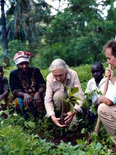 Animal Rights Champion Jane Goodall To Speak At Danbury's WCSU