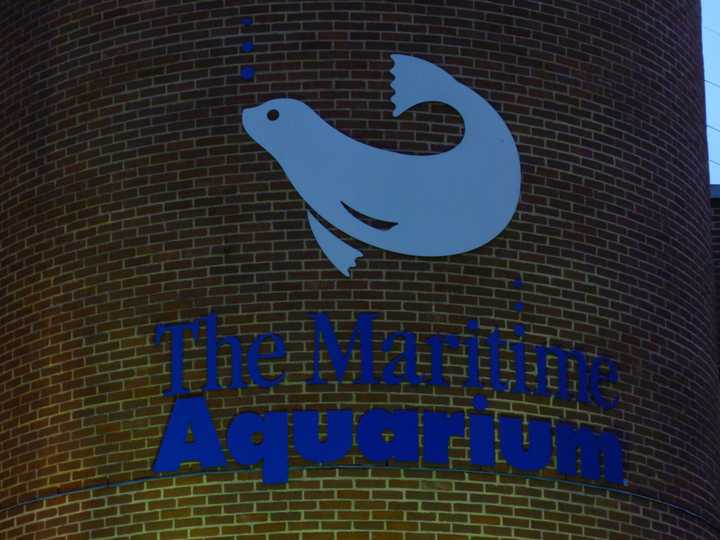 The Maritime Aquarium in Norwalk will offer free admission to children aged 12 and younger Dec. 22, the day after the &quot;Mayan apocalypse.&quot; 