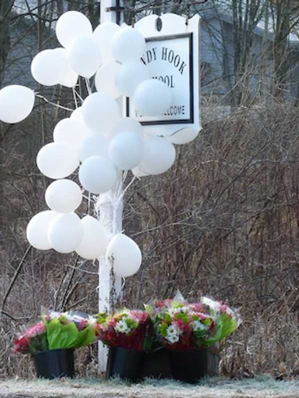 Newtown Shooter's Former Doctor Charged With Sexual Assault