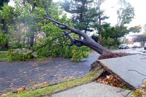 SBA Opens Disaster Loan Center In Bergen County