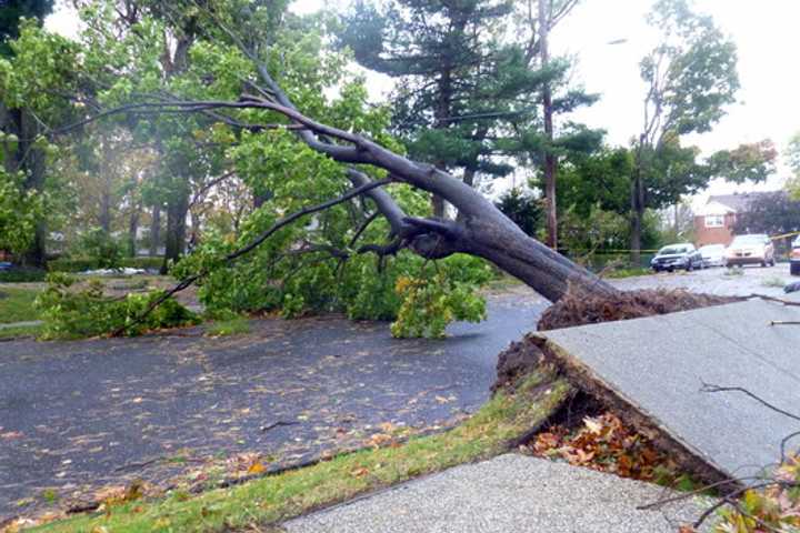 SBA Opens Disaster Loan Center In Bergen County
