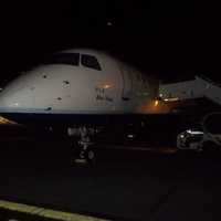 <p>Geese struck a JetBlue flight that departed from Westchester County Airport on April 24, 2012. </p>