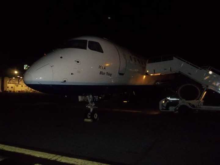 Geese struck a JetBlue flight that departed from Westchester County Airport on April 24, 2012. 