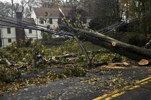 Darien's Top Five Stories Of 2012