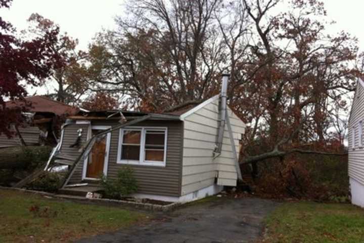 Hurricane Sandy knocked out power and felled trees across Danbury in October. 