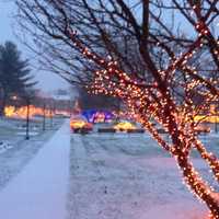 <p>Snow blankets Bryant Gardens in White Plains.</p>