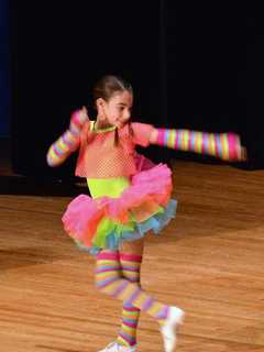Somers Education Foundation Seeks Acts For 2017 Variety Show