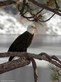 Bergen County Audubon Society Announces Upcoming Events