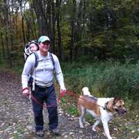 <p>Land trust member Shaun Malay, of Easton, walks a dog at Trout Brook Valley.
</p>