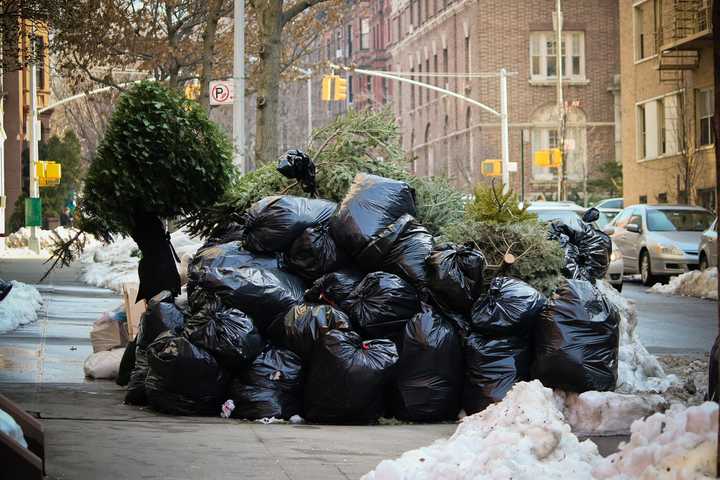 Bronxville residents can leave their trees by the curb for sanitation pickup. 