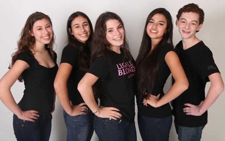 From left, Ariana Perlson, 15, of Irvington; Muriel Ossip, 14, of Hastings; Isabelle Knezevic, 16, of Dobbs Ferry, Ben Milan-Polisar, 14, of Irvington; and Beckett Morris, 15, of Dobbs Ferry all appear in the show. 